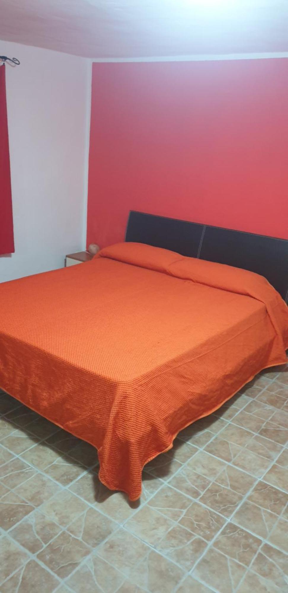 Apartemen Nest